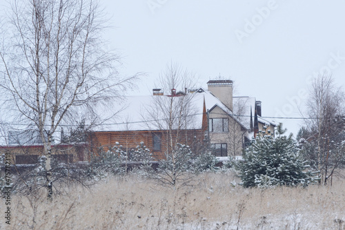 Cottage village near a forest in the countryside. Cloudy winter day. Weekend rest. Winter house © Helena