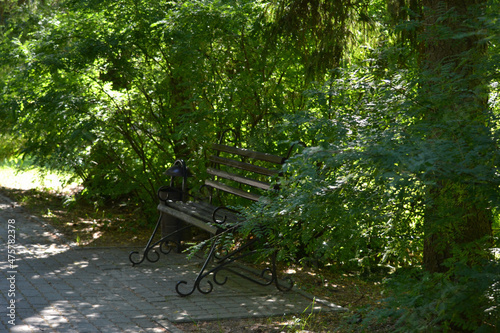 Interesting bench in public park with trees background, fresh sunny spring green background