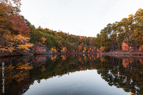 Принти на полотні autumn trees reflected in water