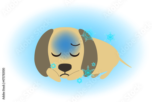 寒がる犬 - 寒いイメージ挿絵