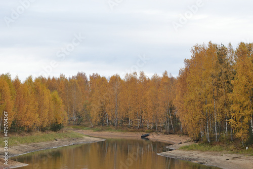 Shallow forest river, reflection, autumn landscape.