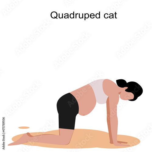No face Pregnant woman yoga pose .Young woman Pregnant Quadrupled cat Pose with text on white background.Vector isolate flat design concept for exercising prenatal better for mum and baby.