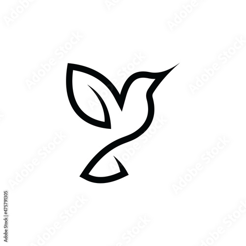 hummingbird line logo icon design vector illustration. Colibri logo.
