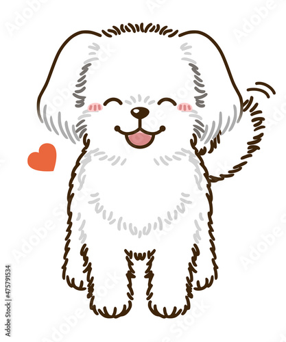 なつくマルチーズ