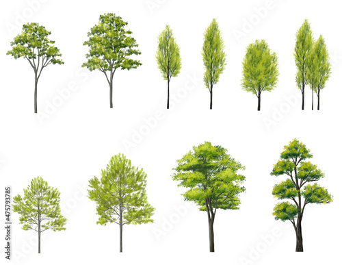 Vector of abstract watercolor tree side view isolated on white background  for landscape plan and architecture layout drawing, elements for environment and garden
