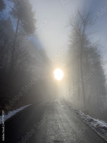 Nebel im Dezember © Volker Loche