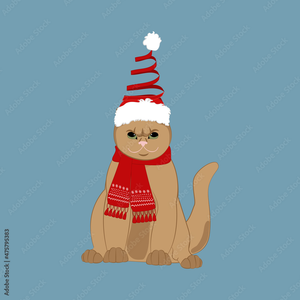 Cat in christmas holiday hat and scarf
