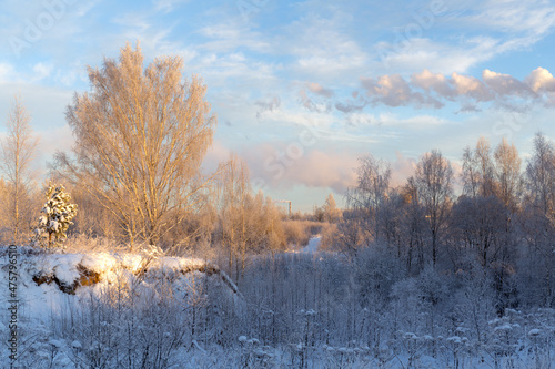 cold winter landscape