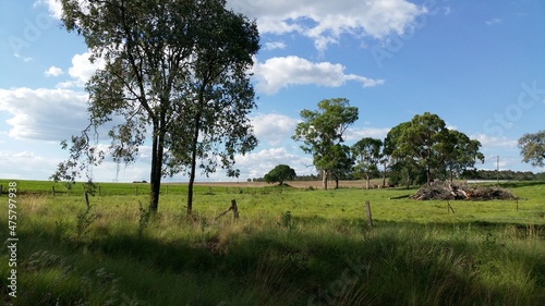 Countryside Landscape