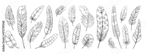 Feather sketch. Hand drawn Indian sketch of doodle bird quill silhouette with ethnic ornament and patterns. Natural plumage. Boho decor elements, vector decorative feathers set