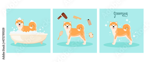 Funny akita washes in the bathroom. Set illustration. Grooming. Cartoon design.
