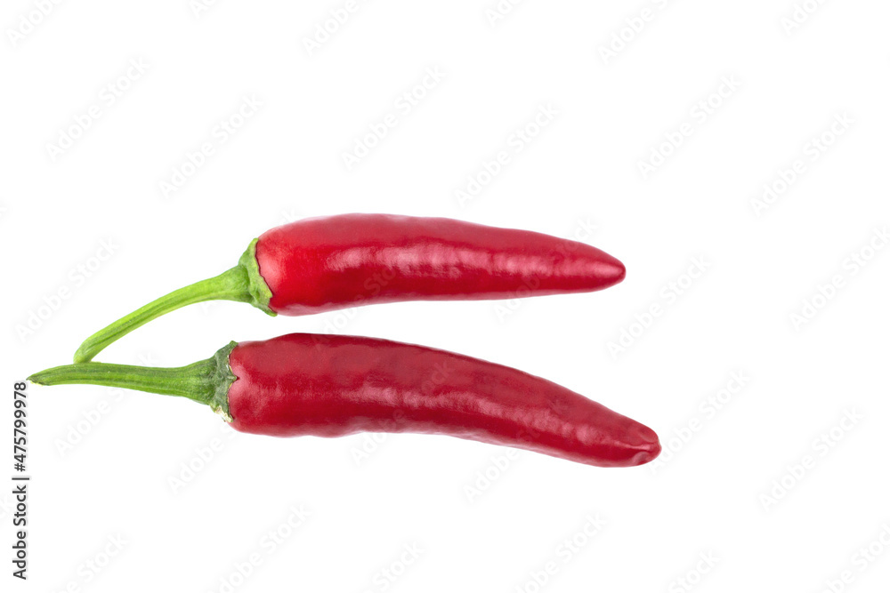2 red chili peppers isolated on white background.