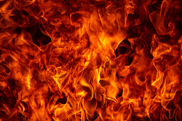 Fire flame isolate on black background. Burn flames, abstract texture. Art design for fire pattern, flame texture.