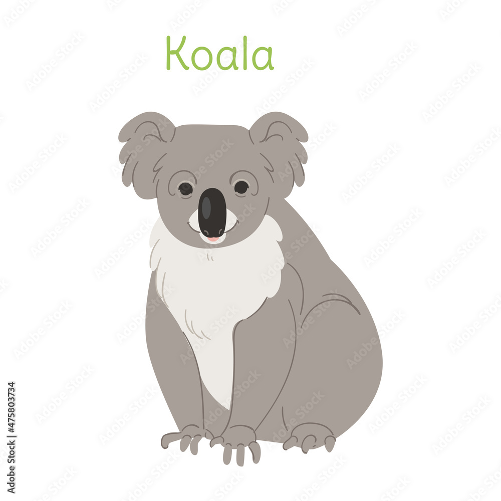the koala is standing. Australian bird in a simple style. Flat vector illustration the koala is standing. Australian bird in a simple style. Flat vector illustration