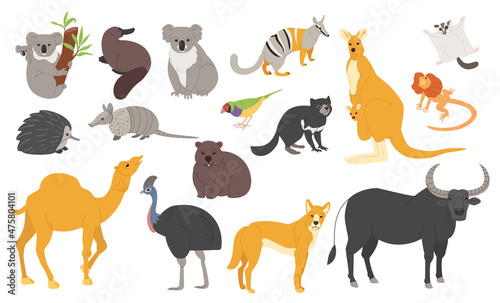 A set of Australian animals in different poses for design. Koala  platypus and kangaroo in simple style.