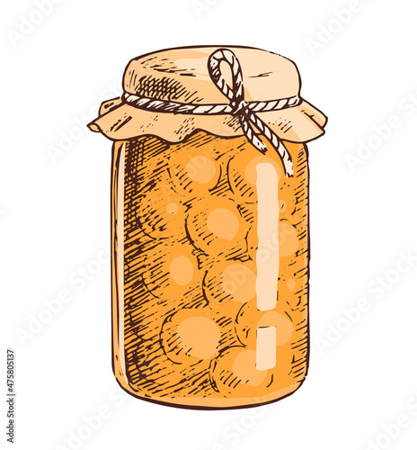 Glass jar with apricot jam or compote. Sweet dessert. Home cooking. Vector isolated art illustration hand drawn