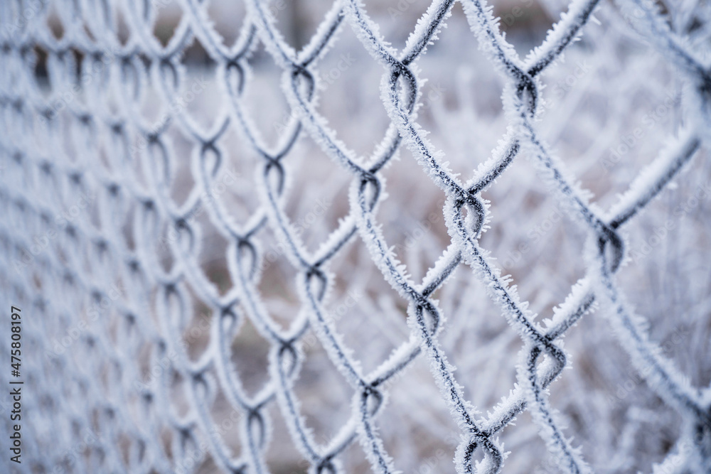 Fototapeta premium Frost on a metal grid against a winter background.