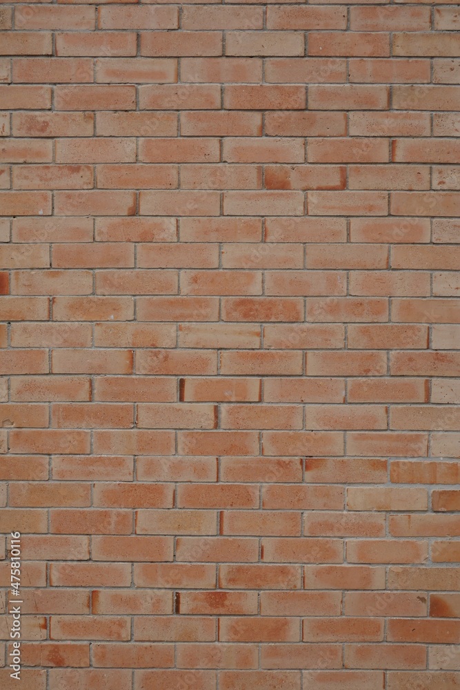 Fototapeta premium brick wall texture