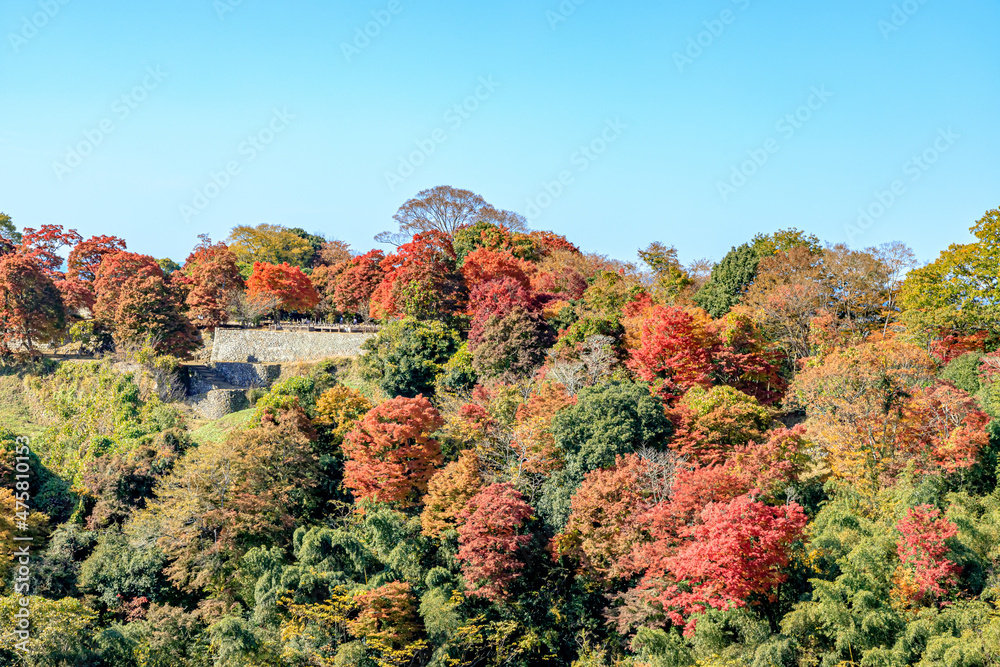 秋の岡城跡 大分県竹田市 Autumn Oka Castle Ruins. Ooita-ken Takeda city 秋の岡城跡 大分県竹田市 Autumn Oka Castle Ruins. Ooita-ken Takeda city