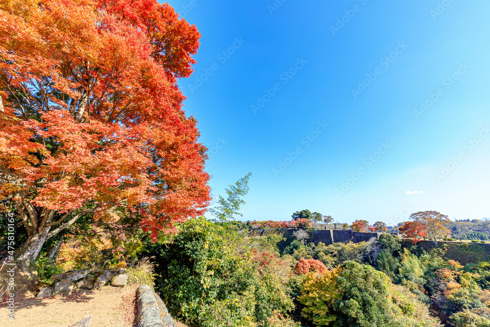 秋の岡城跡 大分県竹田市 Autumn Oka Castle Ruins. Ooita-ken Takeda city 秋の岡城跡 大分県竹田市 Autumn Oka Castle Ruins. Ooita-ken Takeda city