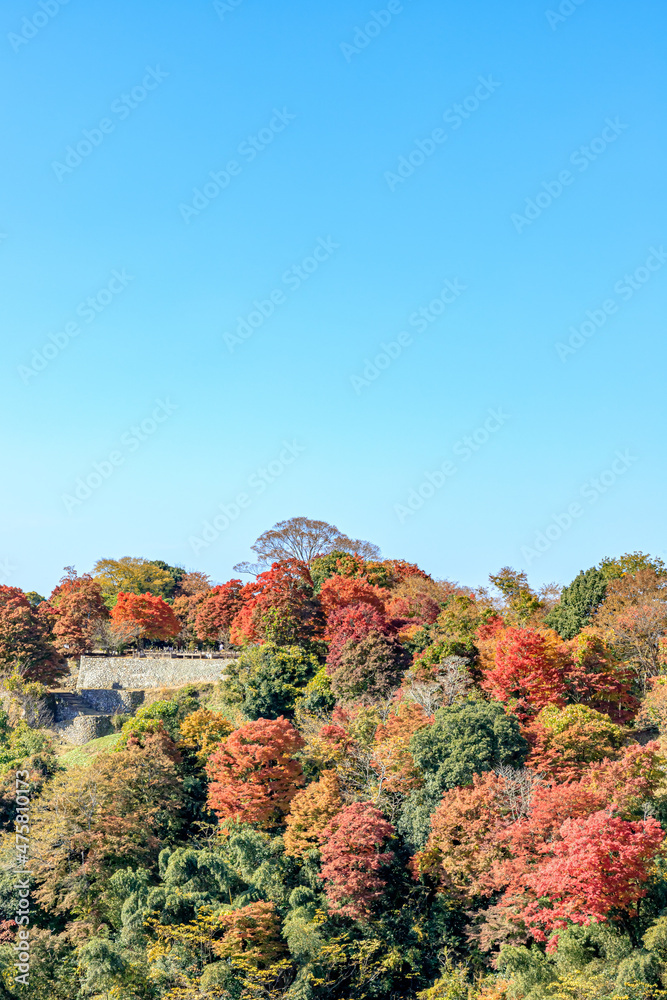 秋の岡城跡 大分県竹田市 Autumn Oka Castle Ruins. Ooita-ken Takeda city 秋の岡城跡 大分県竹田市 Autumn Oka Castle Ruins. Ooita-ken Takeda city