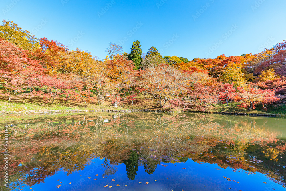 秋の用作公園 大分県豊後大野市
Autumn Yujaku Park. Ooita-ken Bungoono city 秋の用作公園 大分県豊後大野市
Autumn Yujaku Park. Ooita-ken Bungoono city