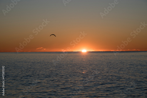 Sunrise over the Mediterranean with birds flying