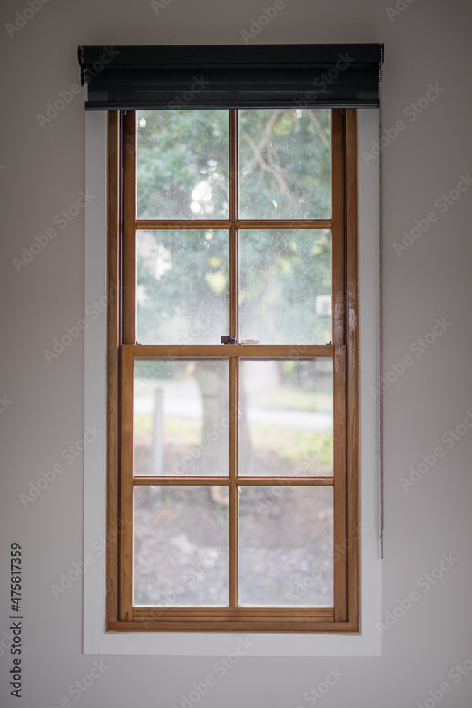 Window Window