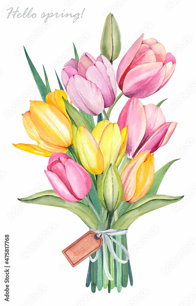 Obraz premium Yellow and pink tulips, leaves. Spring bouquet on a white background. Watercolor illustration.