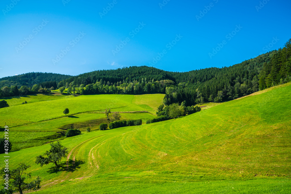 Germany, Beautiful nature landscape view of black forest panorama holiday and tourism region at the edge of the forest in summer