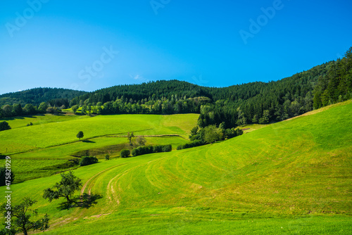 Germany, Beautiful nature landscape view of black forest panorama holiday and tourism region at the edge of the forest in summer