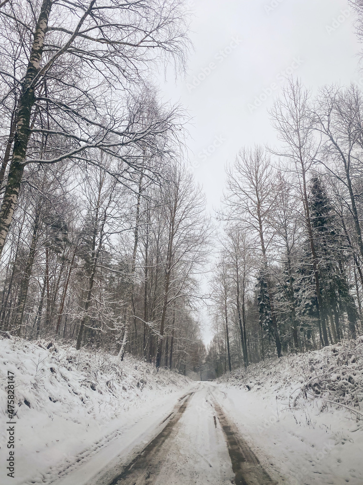 tire tracks in the snow, winter road, empty road in winter goes far to the horizon, covered with snow path, winter landscape