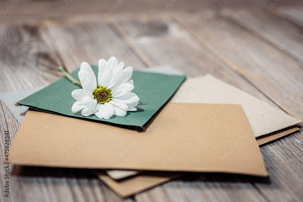 Fototapeta premium Close-up of chamomile flower on envelopes with letters.