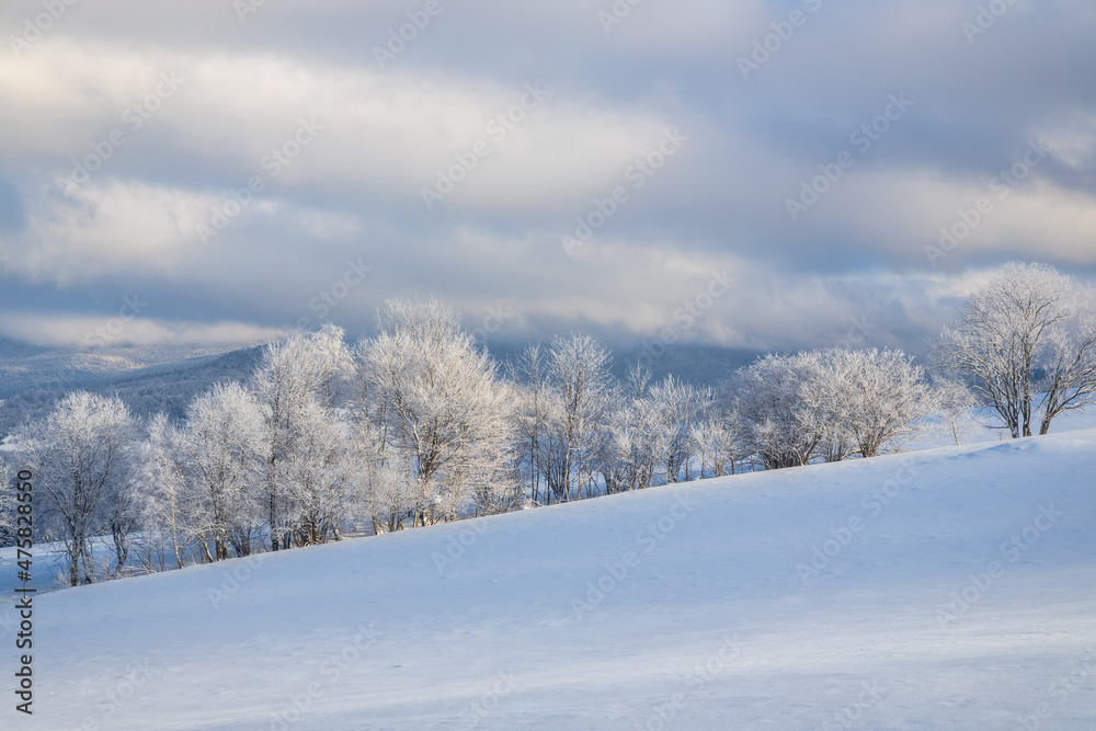 View of a snowy winter landscape with trees covered with rime ice. The Orava region in northwest of Slovakia, Europe. View of a snowy winter landscape with trees covered with rime ice. The Orava region in northwest of Slovakia, Europe.
