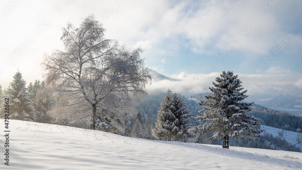 Winter landscape with snowy trees and mountains at sunny day. The Mala Fatra national park in northwest of Slovakia, Europe. Winter landscape with snowy trees and mountains at sunny day. The Mala Fatra national park in northwest of Slovakia, Europe.