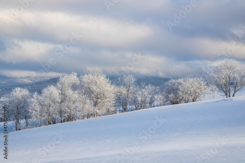 View of a snowy winter landscape with trees covered with rime ice. The Orava region in northwest of Slovakia, Europe.