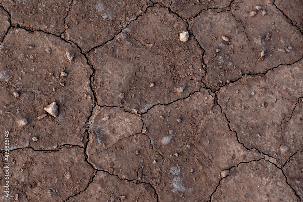Fototapeta premium Dry and cracked soil, global warming background