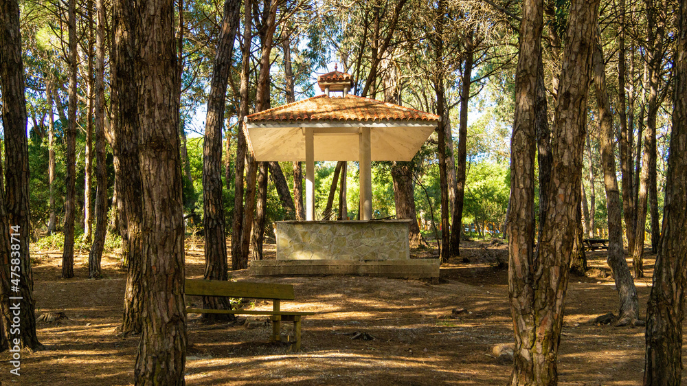 Naklejka premium bird feeder in the forest