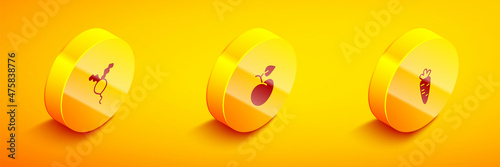Set Isometric Radish, Peach fruit or nectarine and Carrot icon. Vector