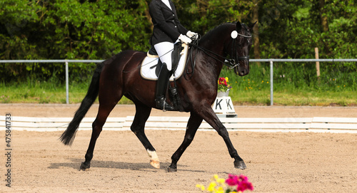Black dressage horse with rider, photographed trotting on the diagonal..