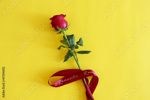 One red rose on yellow background