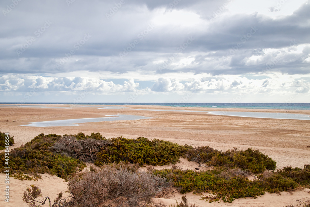 Risco del Paso lagoon in Fuerteventura