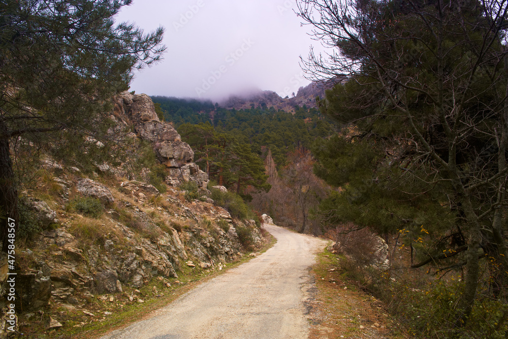 krajobraz góry natura drzewa widok skały
