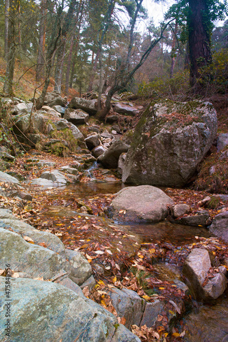 strumień woda skały llas góry photo