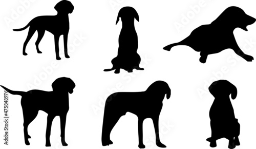 Obraz na płótnie American Foxhound Dog Silhouette Bundle SVG