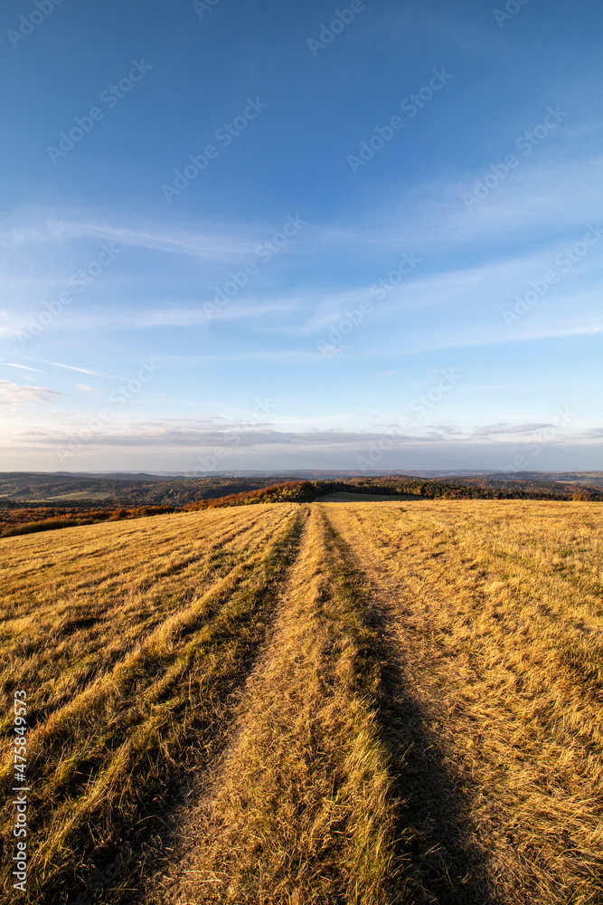 road in the field road in the field