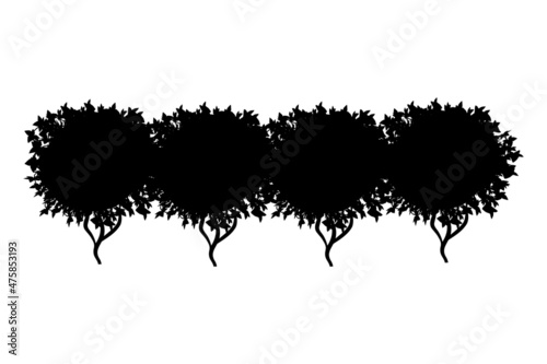 Set of monochrome silhouette of shrubs and trees. Decorative design element in black and white colors.Horizontal panorama with thicket of  garden plants.