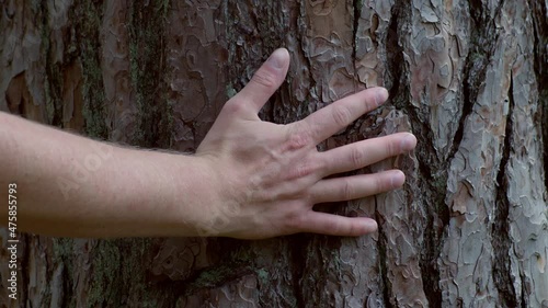Hand of a Person Touching the Bark of a Tree. Love the Nature Concept.