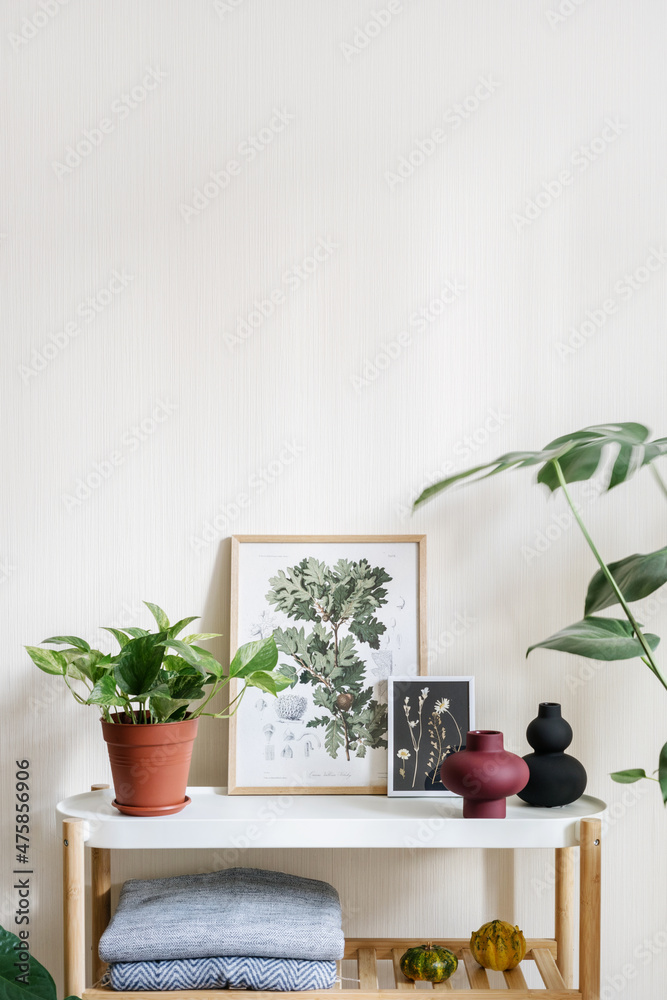 Potted houseplant and home decor on table in room