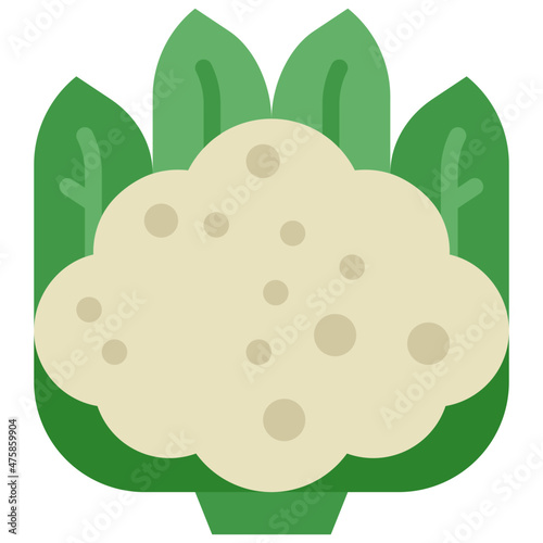 cauliflower flat icon